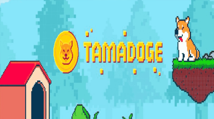 Tamadoge – Nền tảng P2E vừa giải trí, vừa kiếm tiền