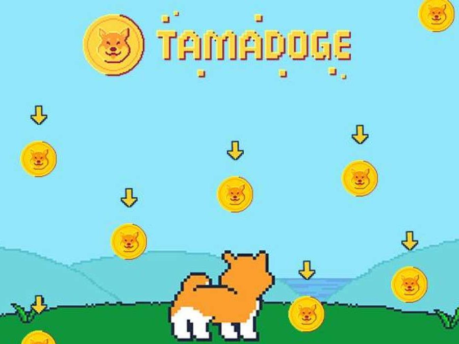 Tamadoge - Một trong những đồng coin mới được đánh giá cao