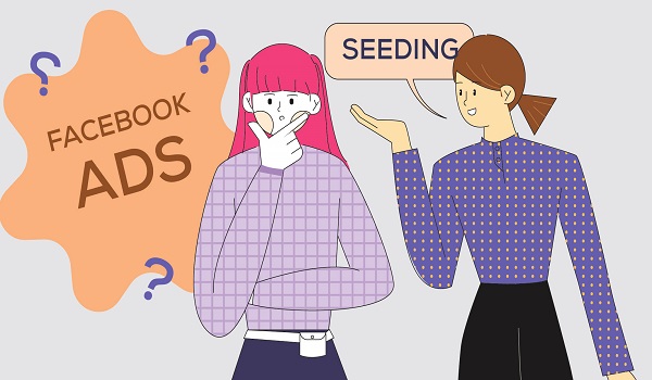 Seeding là gì?